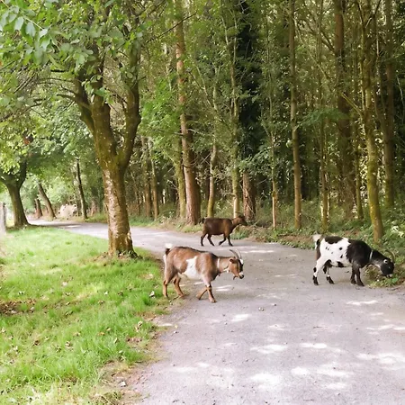 Cosy Gate On The Parsonstown Estate